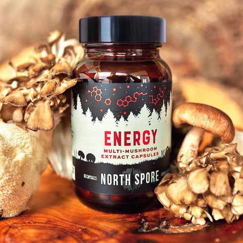 Organic ‘Energy’ Mushroom Capsules (High Potency)